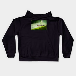 A juvenile Asian ant mantis (Odontomantis planiceps) Kids Hoodie